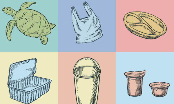 【前編】海洋プラスチック問題について考えよう～海に与える影響とは～のタイトル画像