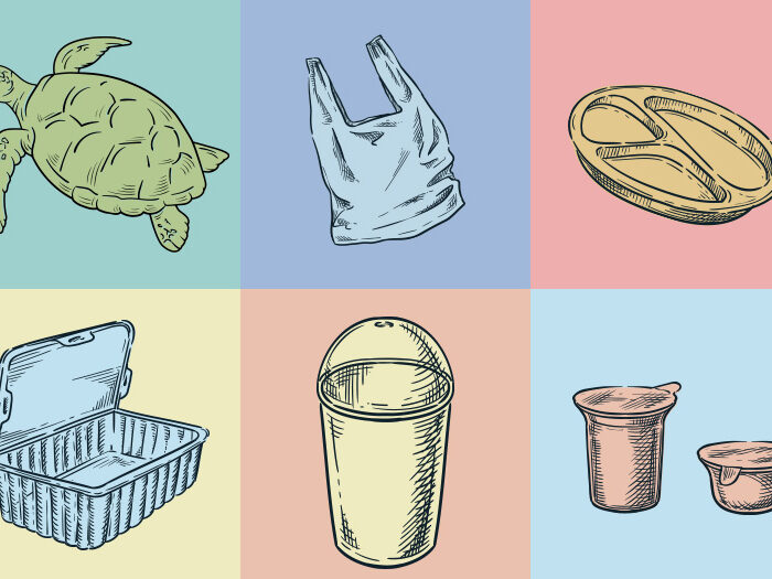 【前編】海洋プラスチック問題について考えよう～海に与える影響とは～