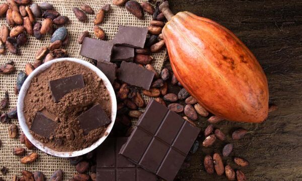 チョコレートとカカオの写真