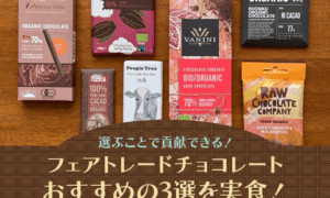フェアトレードチョコレートおすすめ3選の実食レビューのサムネイル画像