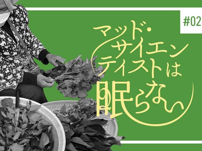 市場ＧＯ！ＧＯ！ＧＯ！part1～激闘！！市場編～