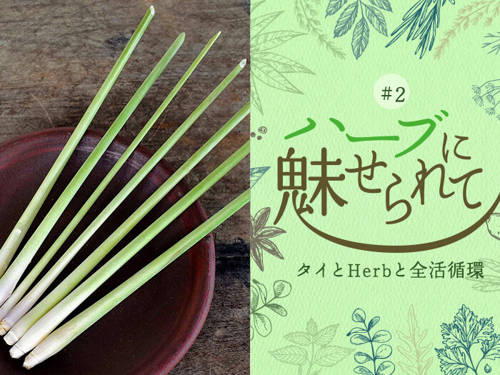 タイのHerb＆Spiceから知る香と健康～レモングラス編～