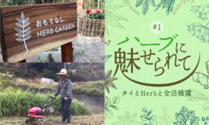 ハーブに魅せられて #1自己紹介編のタイトル画像