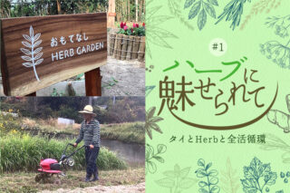 ハーブに魅せられて #1自己紹介編のタイトル画像