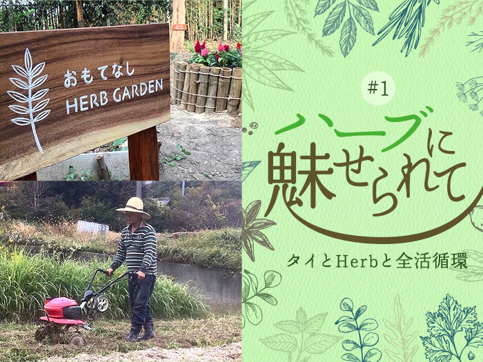 自己紹介編