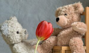 チューリップとテディベアの写真