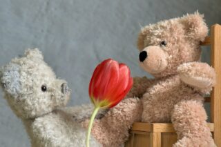 チューリップとテディベアの写真
