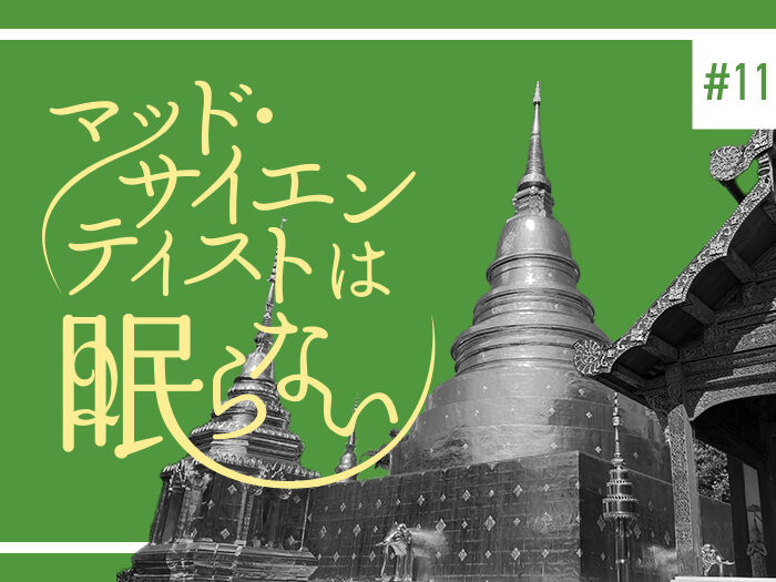 タイ文化との触れ合い～仏教と寺院～