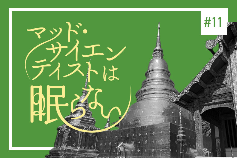 タイ文化との触れ合い～仏教と寺院～のタイトル画像