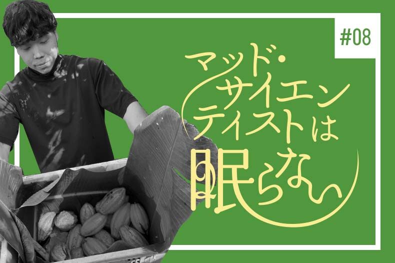 農作物と醗酵食品編 カカオゾーンのタイトル画像