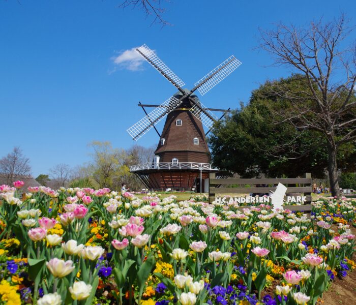 千葉県でピクニック！のんびり派にもアクティブ派にもおすすめの公園5選