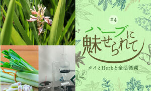 蒸留器の改造完成~ NATURE FUTURE FARMの香Herbの抽出チャレンジのタイトル画像