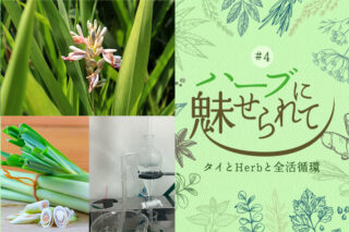 蒸留器の改造完成~ NATURE FUTURE FARMの香Herbの抽出チャレンジのタイトル画像