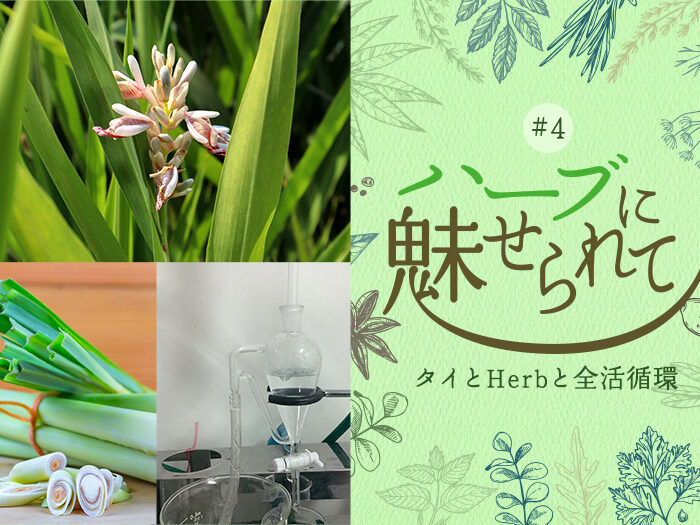 蒸留器の改造完成~ NATURE FUTURE FARMの香Herbの抽出チャレンジ