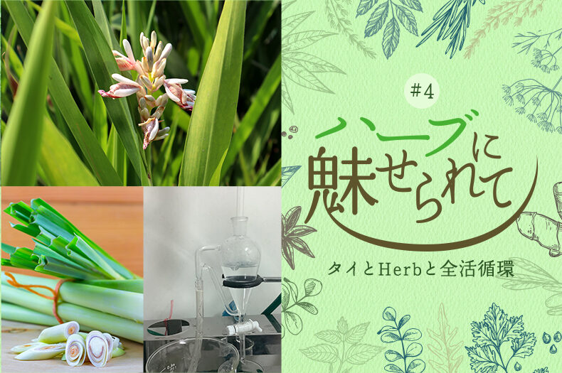 蒸留器の改造完成~ NATURE FUTURE FARMの香Herbの抽出チャレンジのタイトル画像