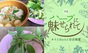 タイの普通のくらしに共存するHerb＆Spiceのタイトル画像
