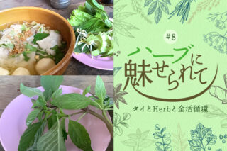 タイの普通のくらしに共存するHerb＆Spiceのタイトル画像
