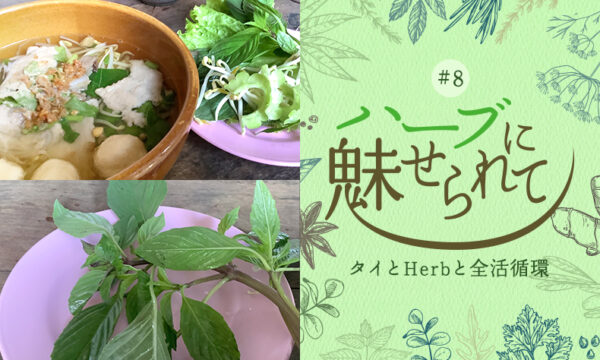 タイの普通のくらしに共存するHerb＆Spiceのタイトル画像