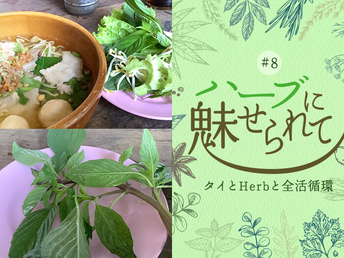 タイの普通のくらしに共存するHerb＆Spice