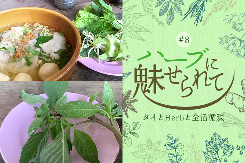 タイの普通のくらしに共存するHerb＆Spiceのタイトル画像
