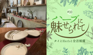 Nature Future Café 新ランチメニューお披露目に向けて ～Doy Din Dang 窯元を訪ねる～のタイトル画像