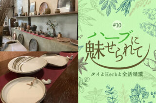 Nature Future Café 新ランチメニューお披露目に向けて ～Doy Din Dang 窯元を訪ねる～のタイトル画像