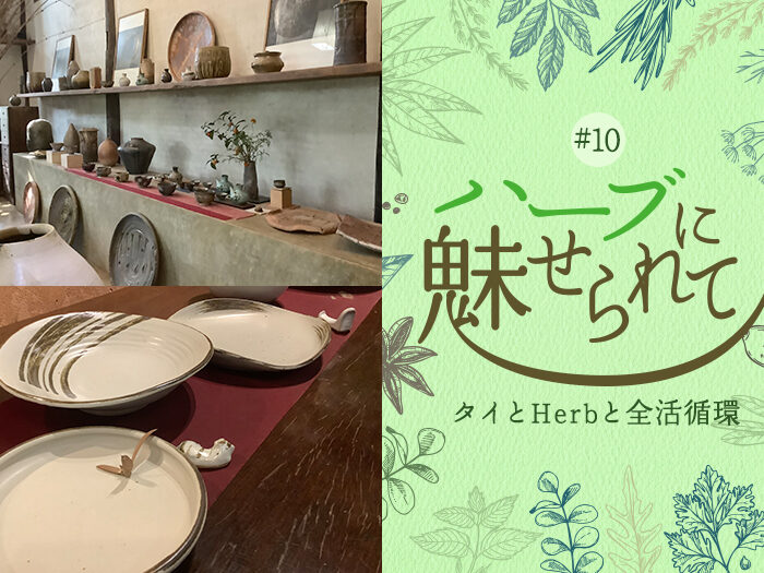 Nature Future Café 新ランチメニューお披露目に向けて ～Doy Din Dang 窯元を訪ねる～