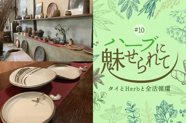 Nature Future Café 新ランチメニューお披露目に向けて ～Doy Din Dang 窯元を訪ねる～のタイトル画像
