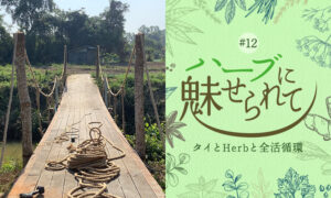 Herbgardenにかける橋のタイトル画像
