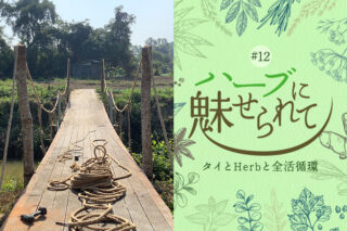 Herbgardenにかける橋のタイトル画像