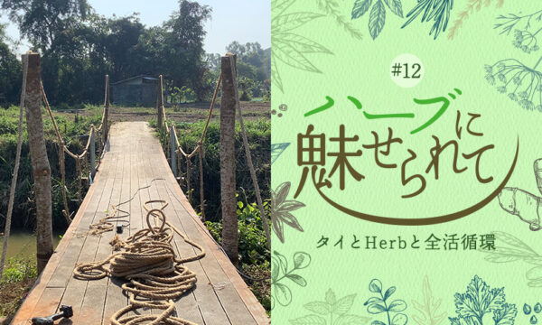 Herbgardenにかける橋のタイトル画像