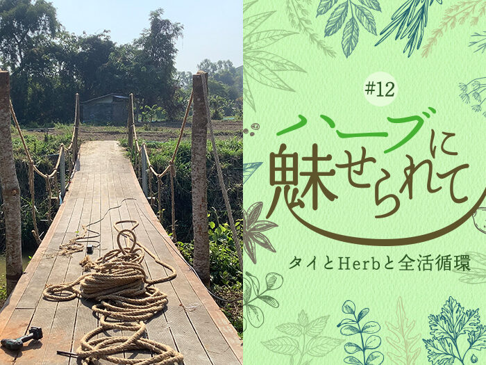 Herbgardenにかける橋