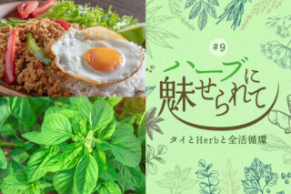 ハーブに魅せられて＃9のタイトル画像
