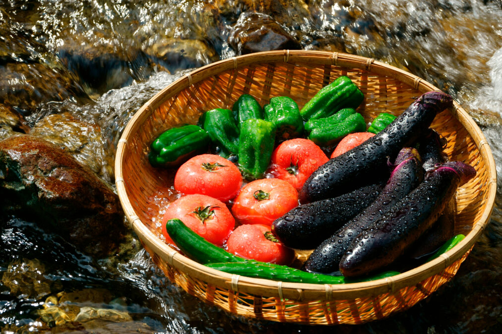 夏に食べたい旬の食材12選！ラタトゥイユのレシピもご紹介のタイトル画像