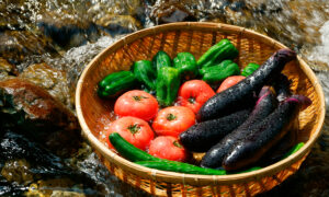 夏に食べたい旬の食材12選！ラタトゥイユのレシピもご紹介のタイトル画像