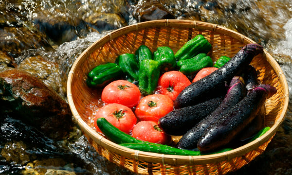 夏に食べたい旬の食材12選！ラタトゥイユのレシピもご紹介のタイトル画像