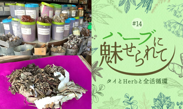 街角のHerb薬局のタイトル画像