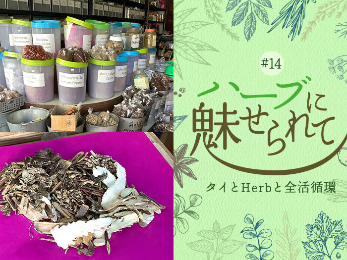 街角のHerb薬局