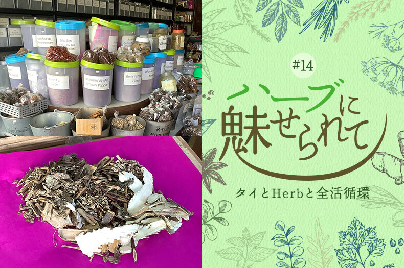 街角のHerb薬局のタイトル画像