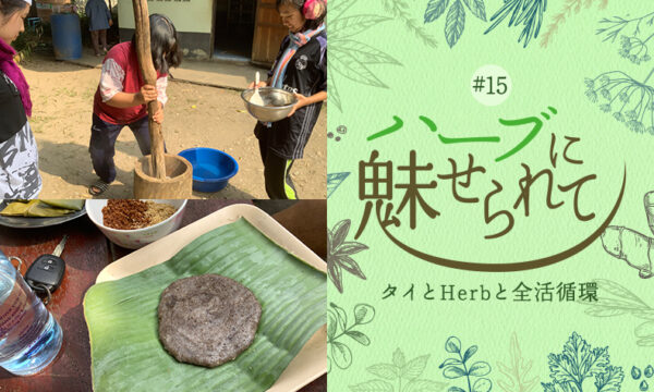 Nature Future Café 新ランチメニューお披露目に向けて ～アカ族の文化と日本の文化～のタイトル画像
