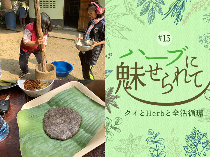 Nature Future Café 新ランチメニューお披露目に向けて ～アカ族の文化と日本の文化～