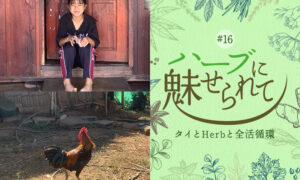 アカ族の村に、お米を求めてのタイトル画像