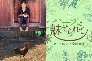 アカ族の村に、お米を求めてのタイトル画像