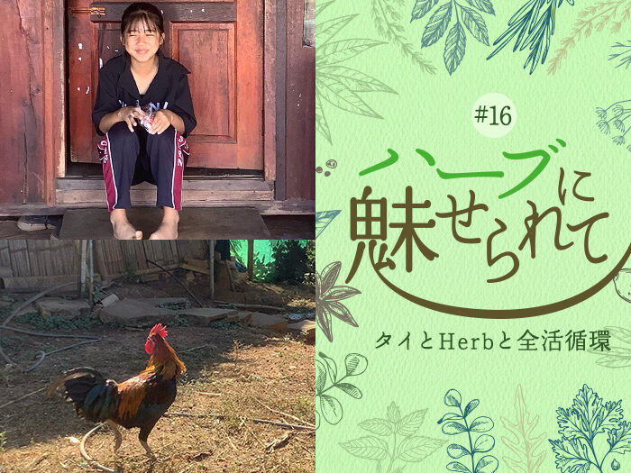アカ族の村に、お米を求めて