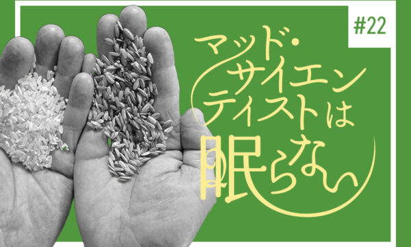 【カフェリニューアル編】リニューアル作戦その4のタイトル画像