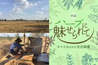 ～唯一無二の塩を探して～のタイトル画像