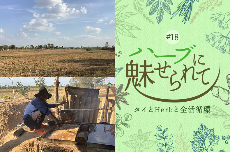 ～唯一無二の塩を探して～のタイトル画像