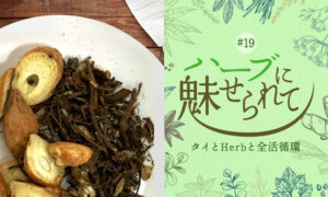タイの普通のくらしに共存するHerb＆Spice ～クラチャイの効果～のタイトル画像