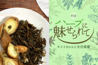 タイの普通のくらしに共存するHerb＆Spice ～クラチャイの効果～のタイトル画像