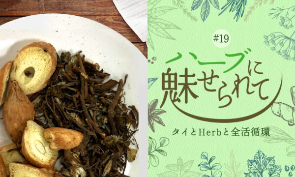 タイの普通のくらしに共存するHerb＆Spice ～クラチャイの効果～のタイトル画像